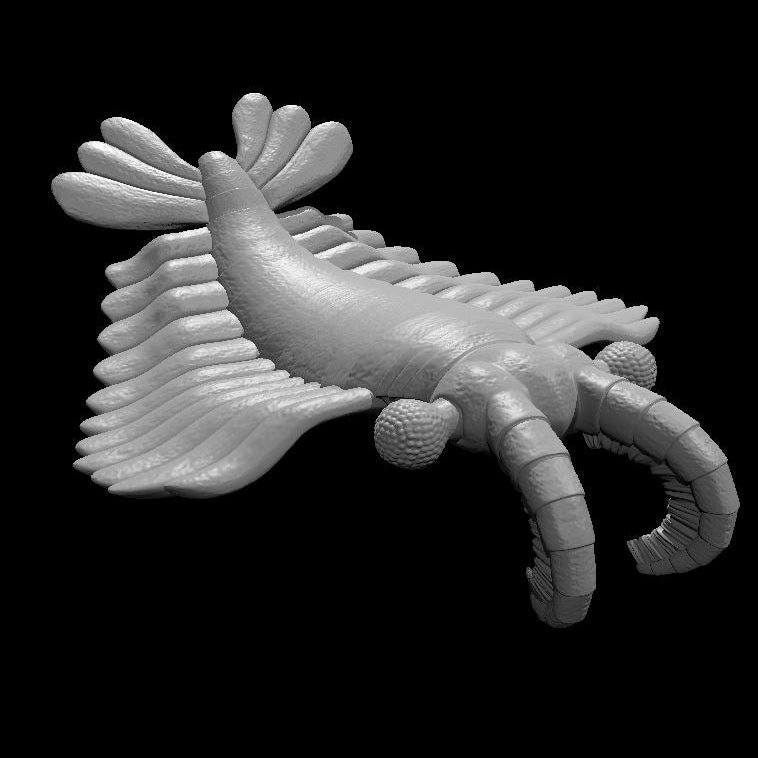 Anomalocaris, Bizarre Prehistoric Creature - MZ4250