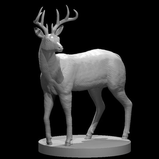 Deer (2 Variants Available) - MZ4250