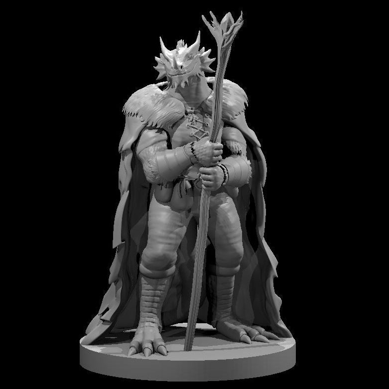 Dragonborn Druid (3 Variants Available) - MZ4250