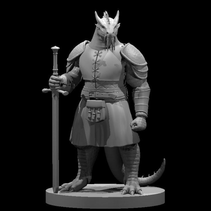 Dragonborn Fighters (7 Variants Available) - MZ4250