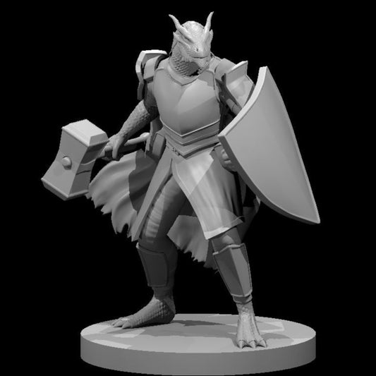 Dragonborn Paladins (2 Variants Available) - MZ4250