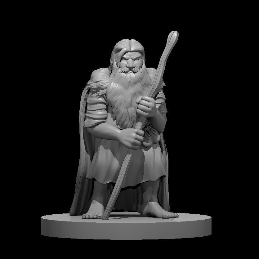 Dwarven Druid (6 Variants Available) - MZ4250