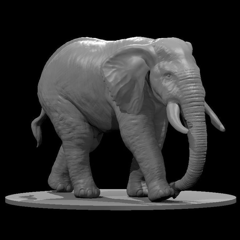 Elephants (2 Variants Available) - MZ4250