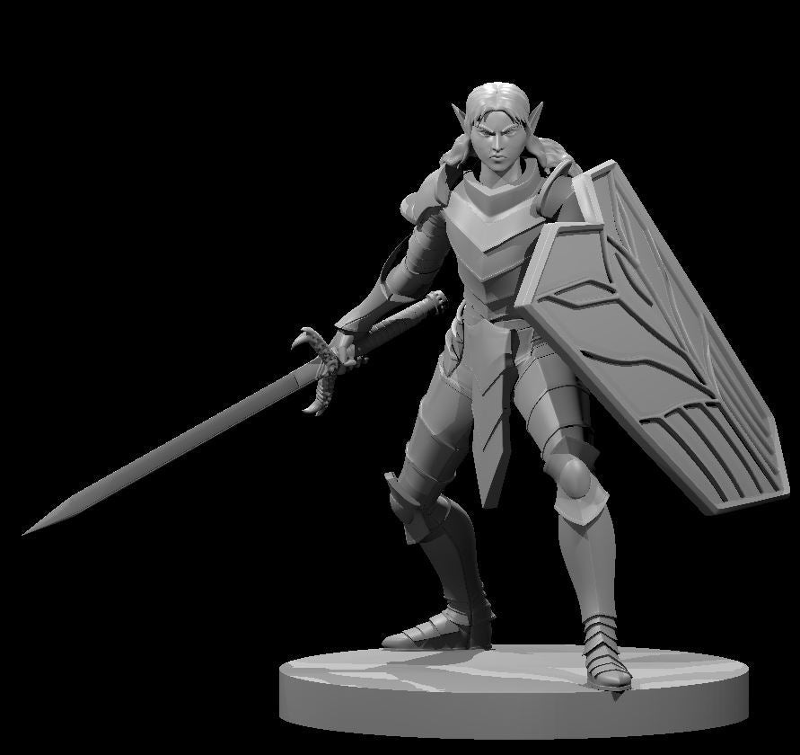 Elf Paladin (10 Variants Available) - MZ4250