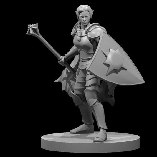Elf Cleric (5 Variants Available) - MZ4250