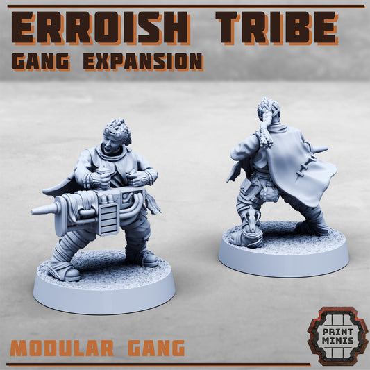 Erroish War Party, Set 3 (7 Variants Available) - Print Minis