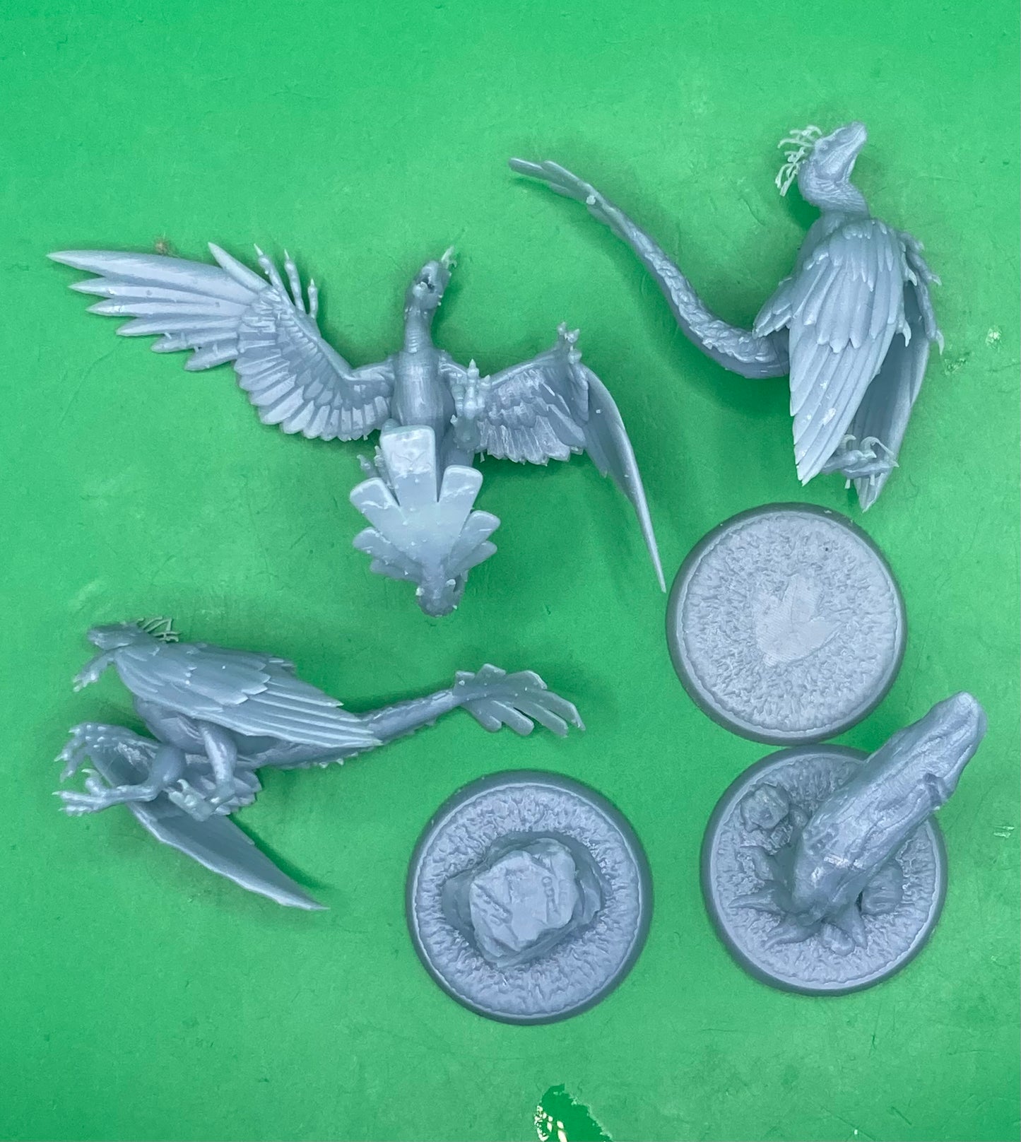 Flying Raptors (3 Variants Available) - Dragon Trapper's Lodge