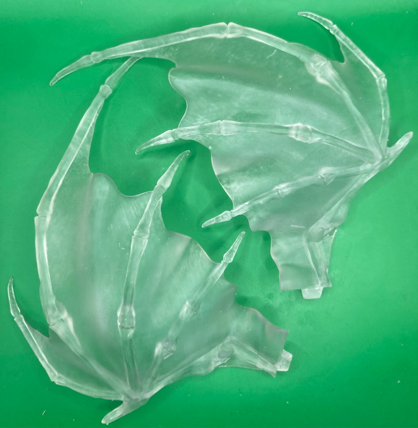 Topaz Dragon (5 Variants Available) - Epic Miniatures