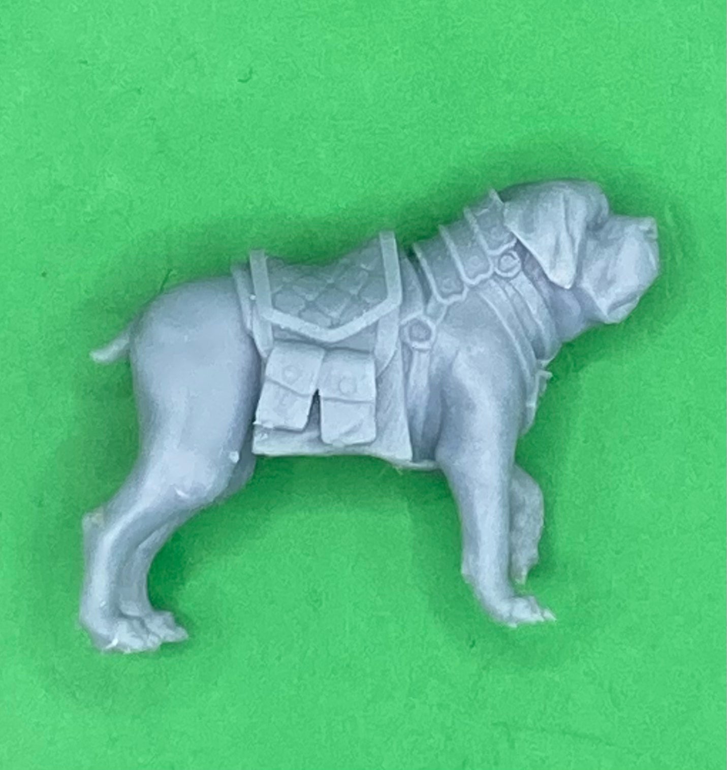 Mastiff War Dog - Mount (3 Variants Available) - Epic Miniatures