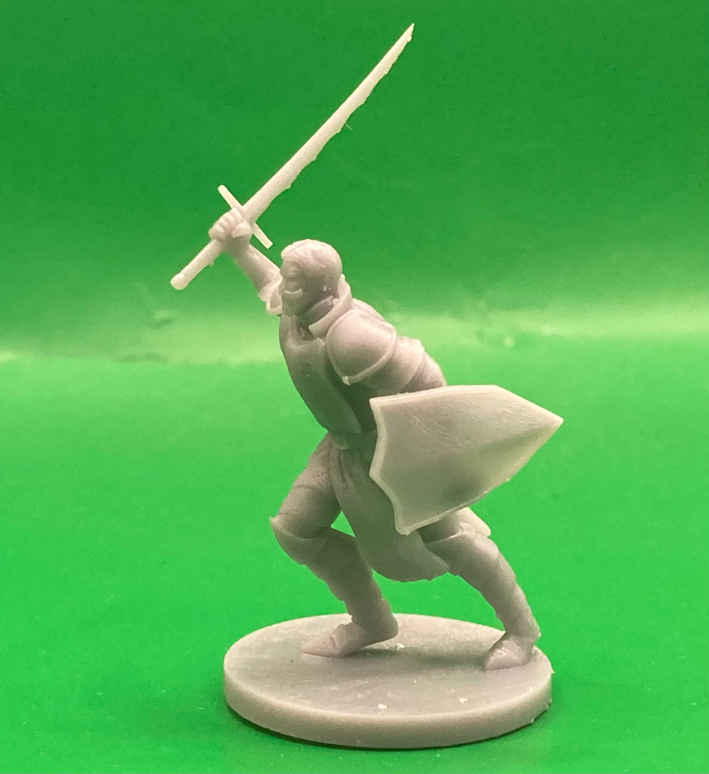 Human Paladins, Set 1 (7 Variants Available) - MZ4250