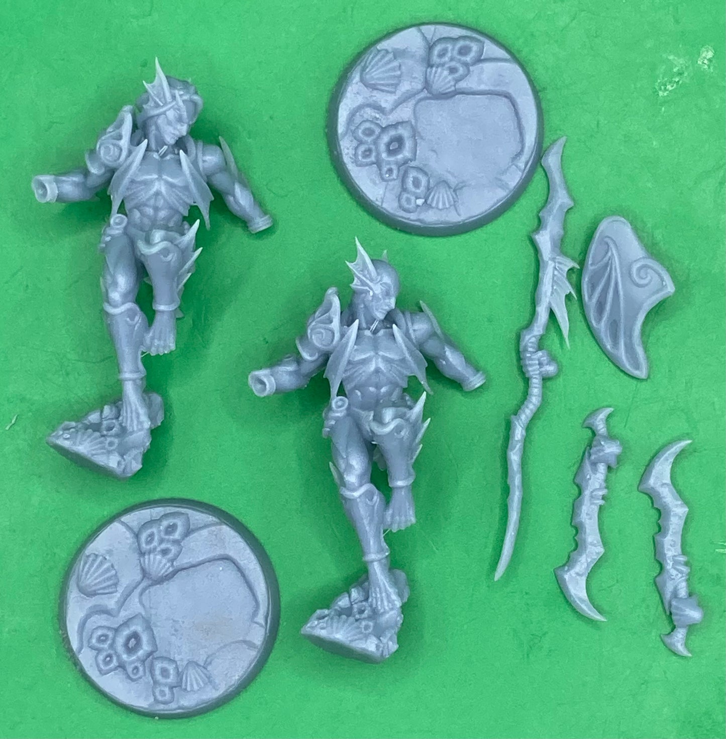 Triton Raider B (Modular) - Artisan Guild