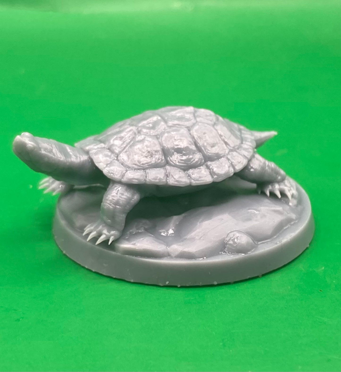 Turtle - Dragon Trapper's Lodge