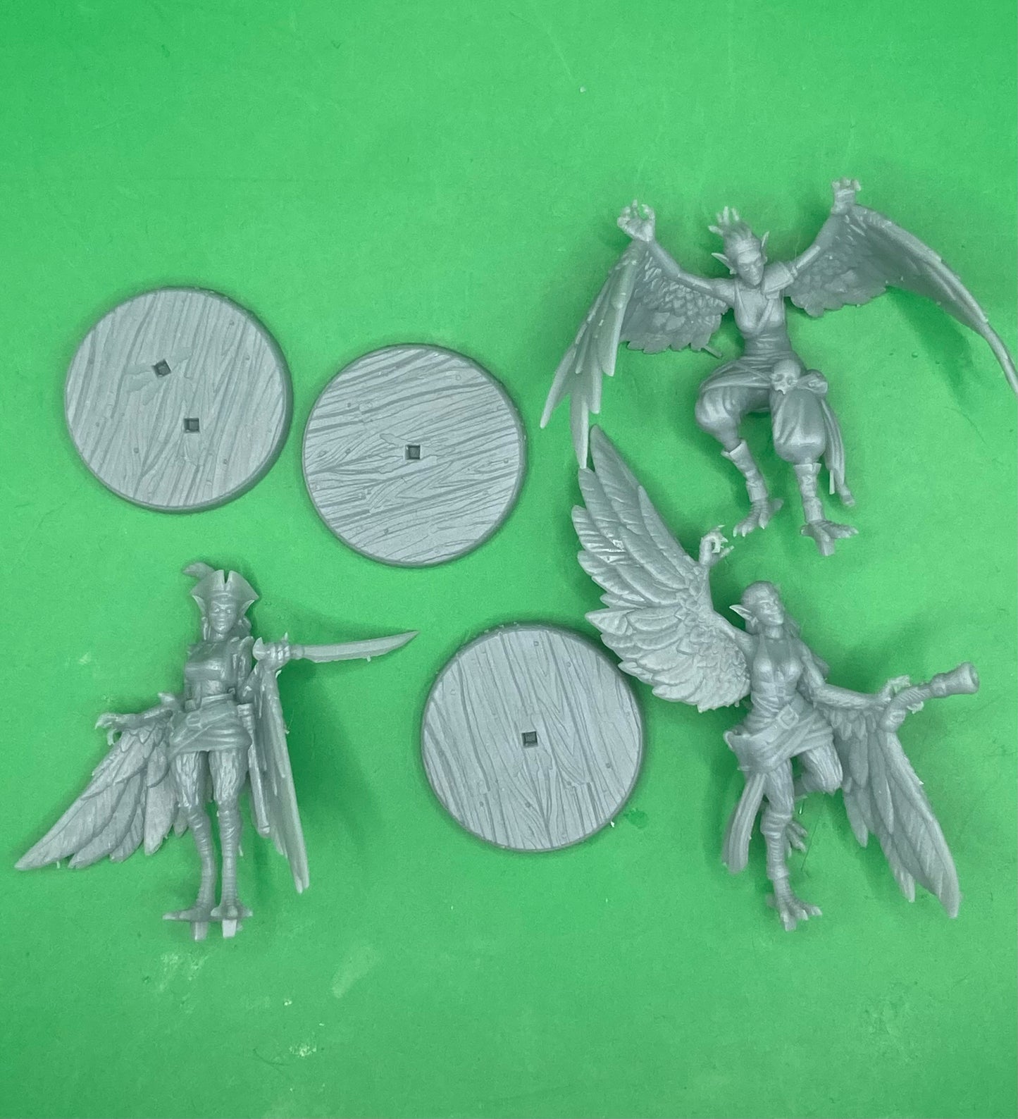 Harpy Pirates (3 Variants Available) - Dragon Trapper's Lodge