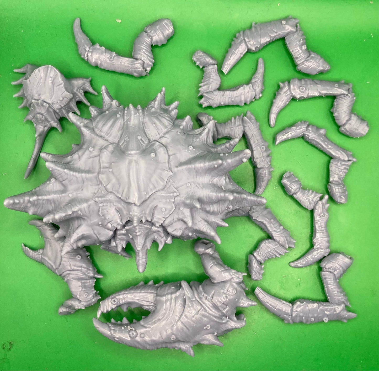 Shore'Tik Crawler - Clay Beast Creations