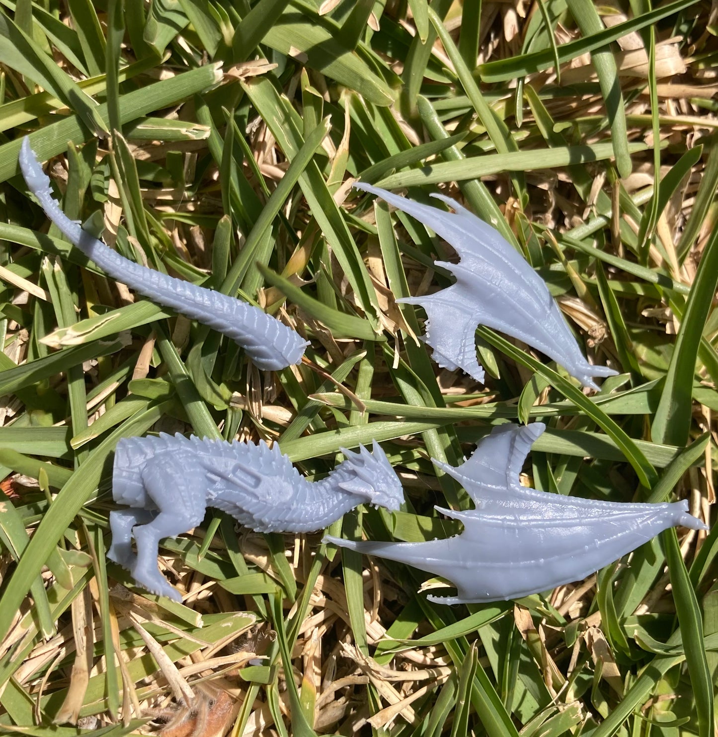 Wyvern Classic (5 Variants Available) - Epic Miniatures