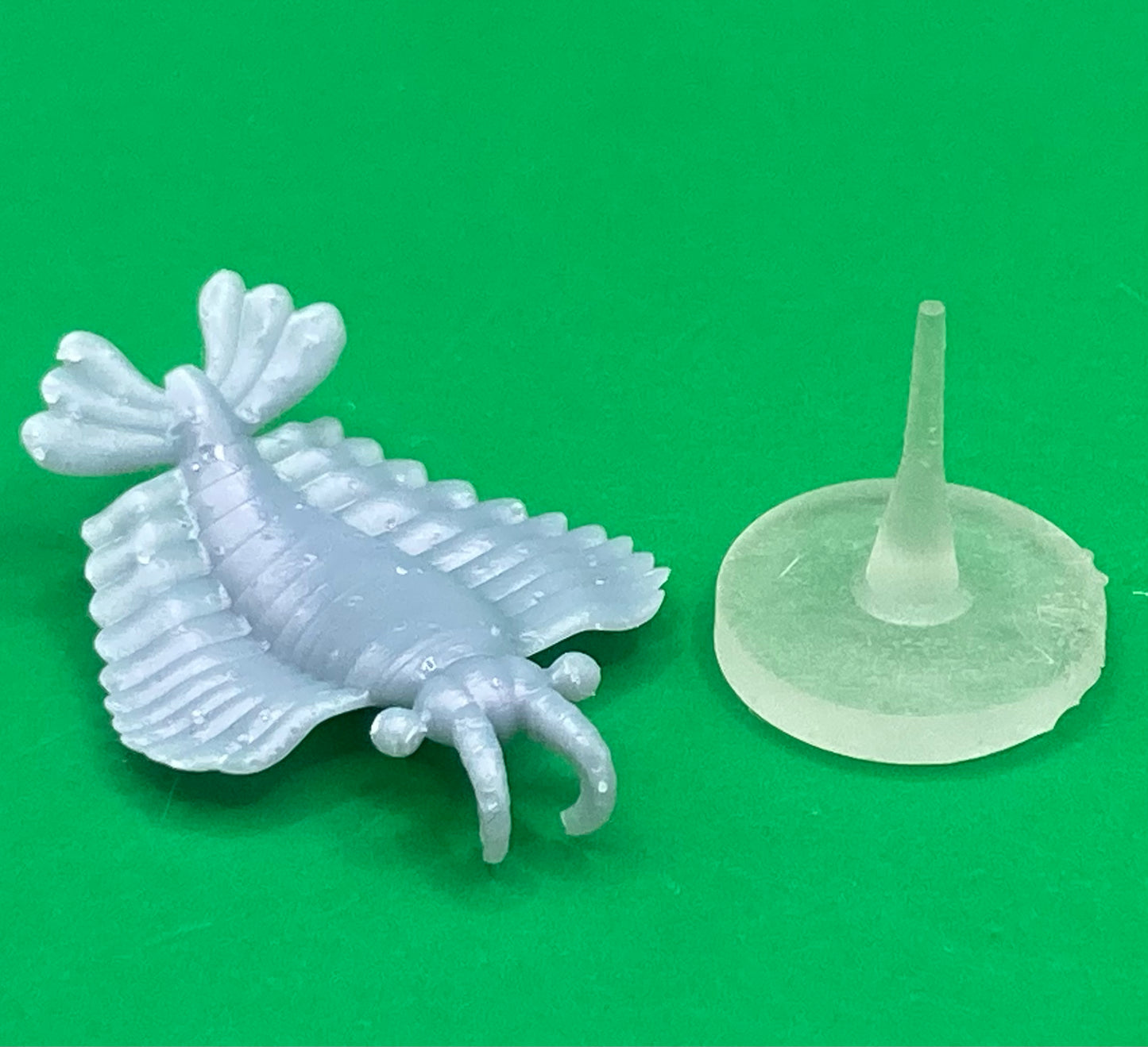 Anomalocaris, Bizarre Prehistoric Creature - MZ4250