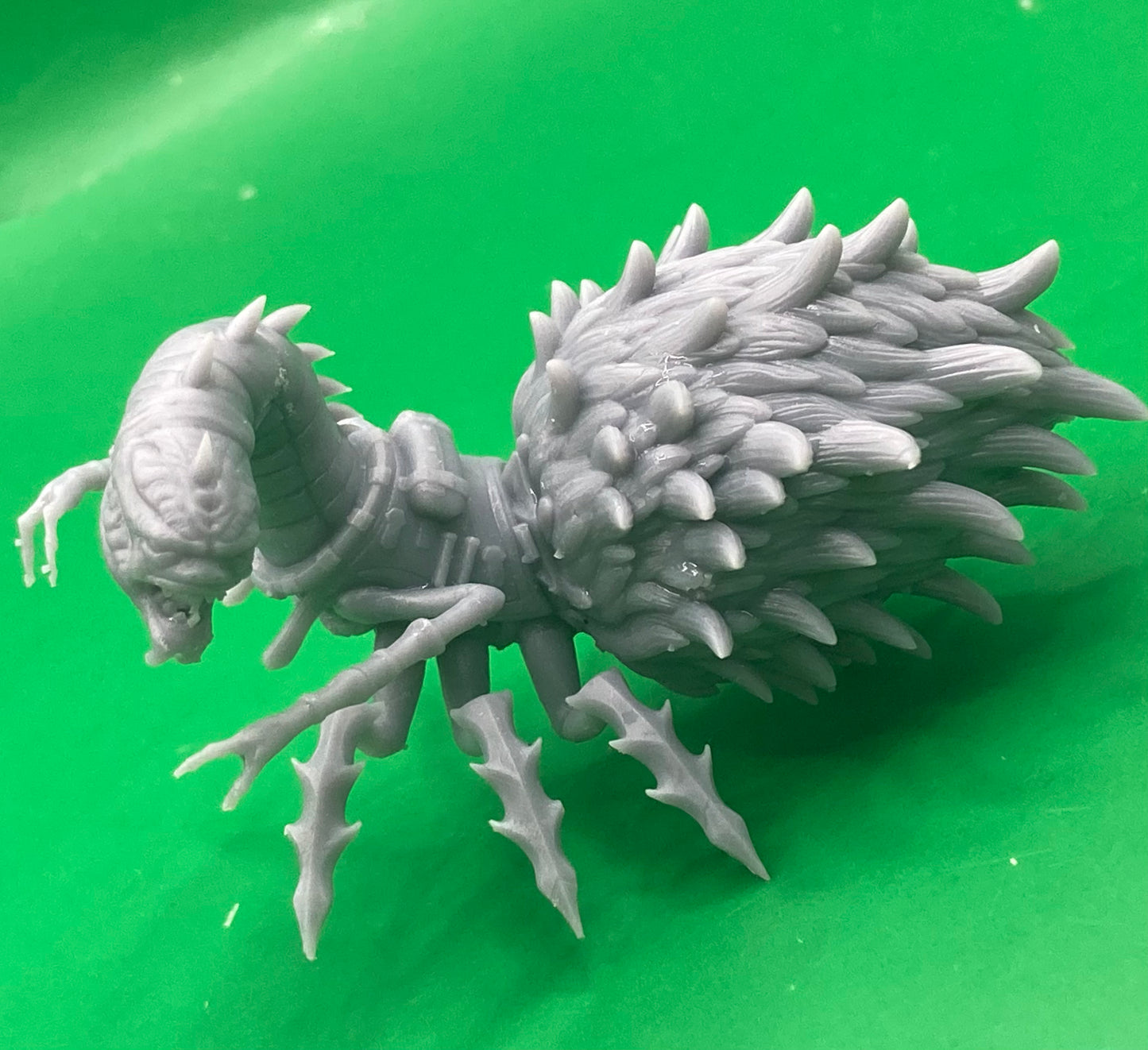 Neogi Traveller (3 Variants Available) - Epic Miniatures
