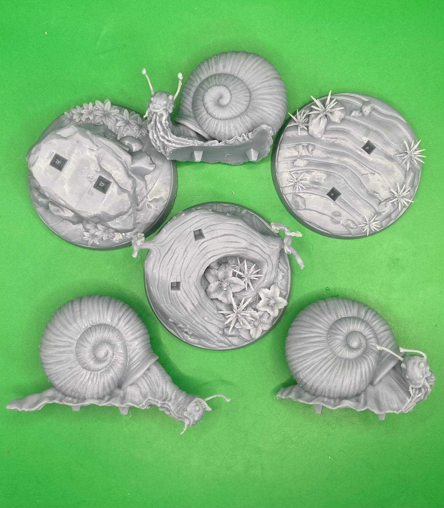 Small Snails (3 Variants Available) - Dragon Trapper's Lodge
