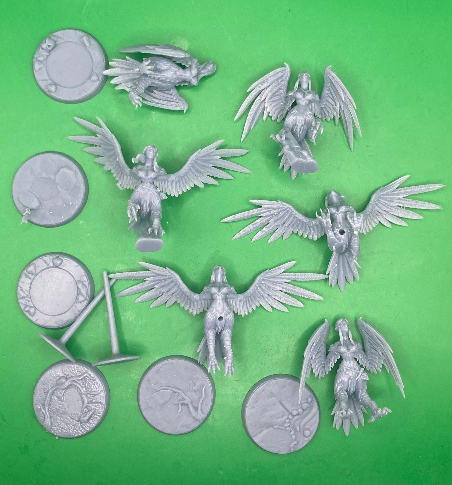 Cliff Harpies, Set A (6 Variants Available) - Artisan Guild