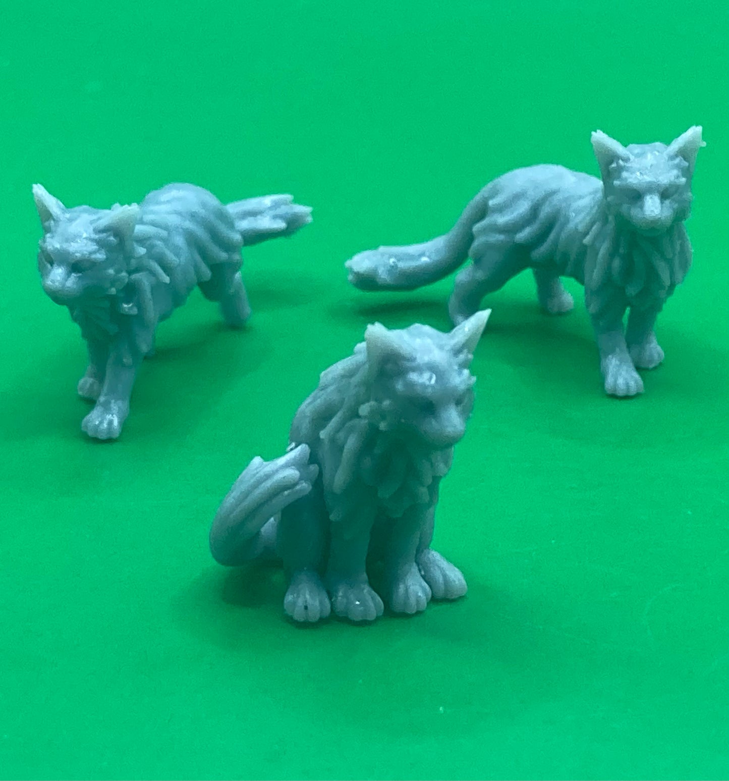 Maine Coon Cats (3 Variants Available) - Velrock