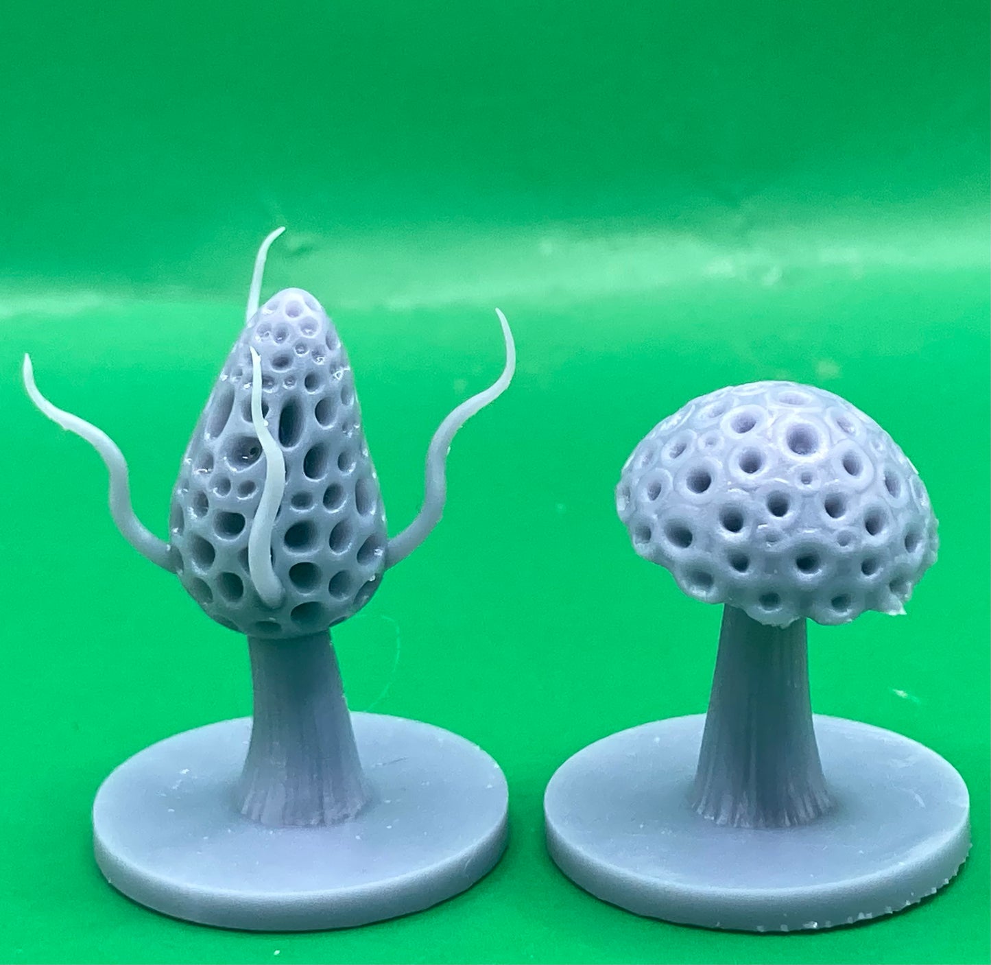 Fungus (6 Variants Available) - MZ4250
