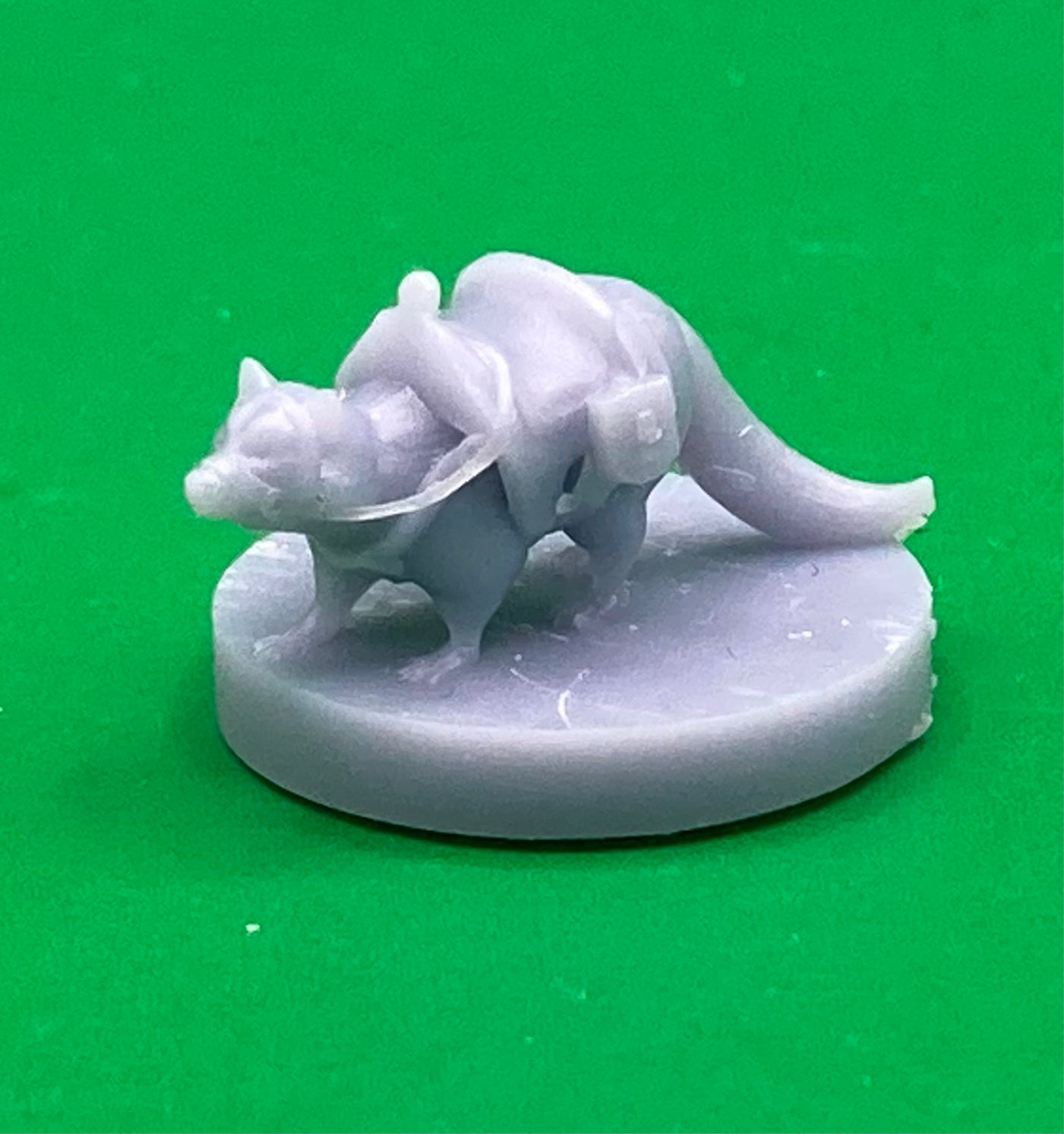 Raccoon (2 Variants Available) - MZ4250