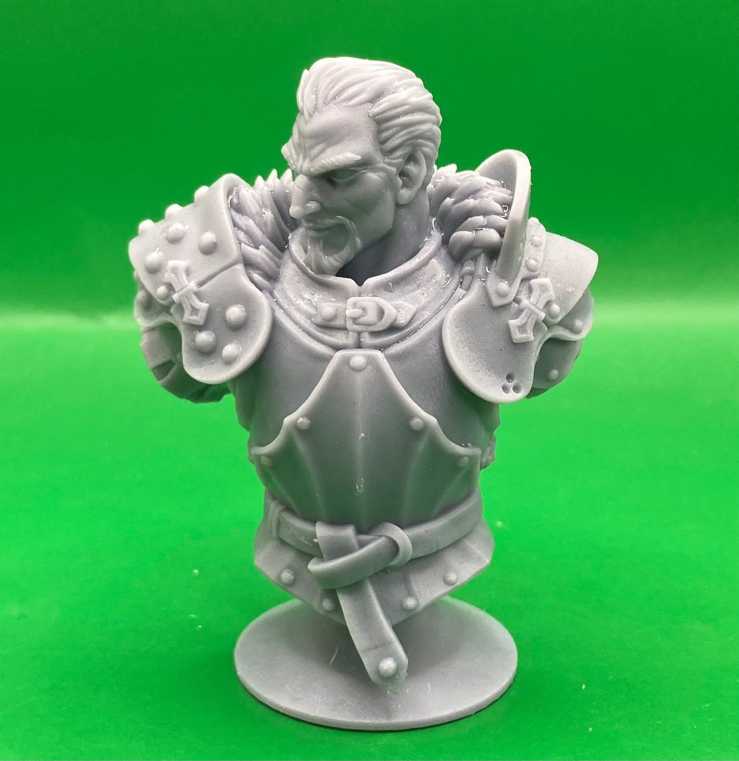 Vanguard Fighter Bust (2 Variants Available) - Artisan Guild