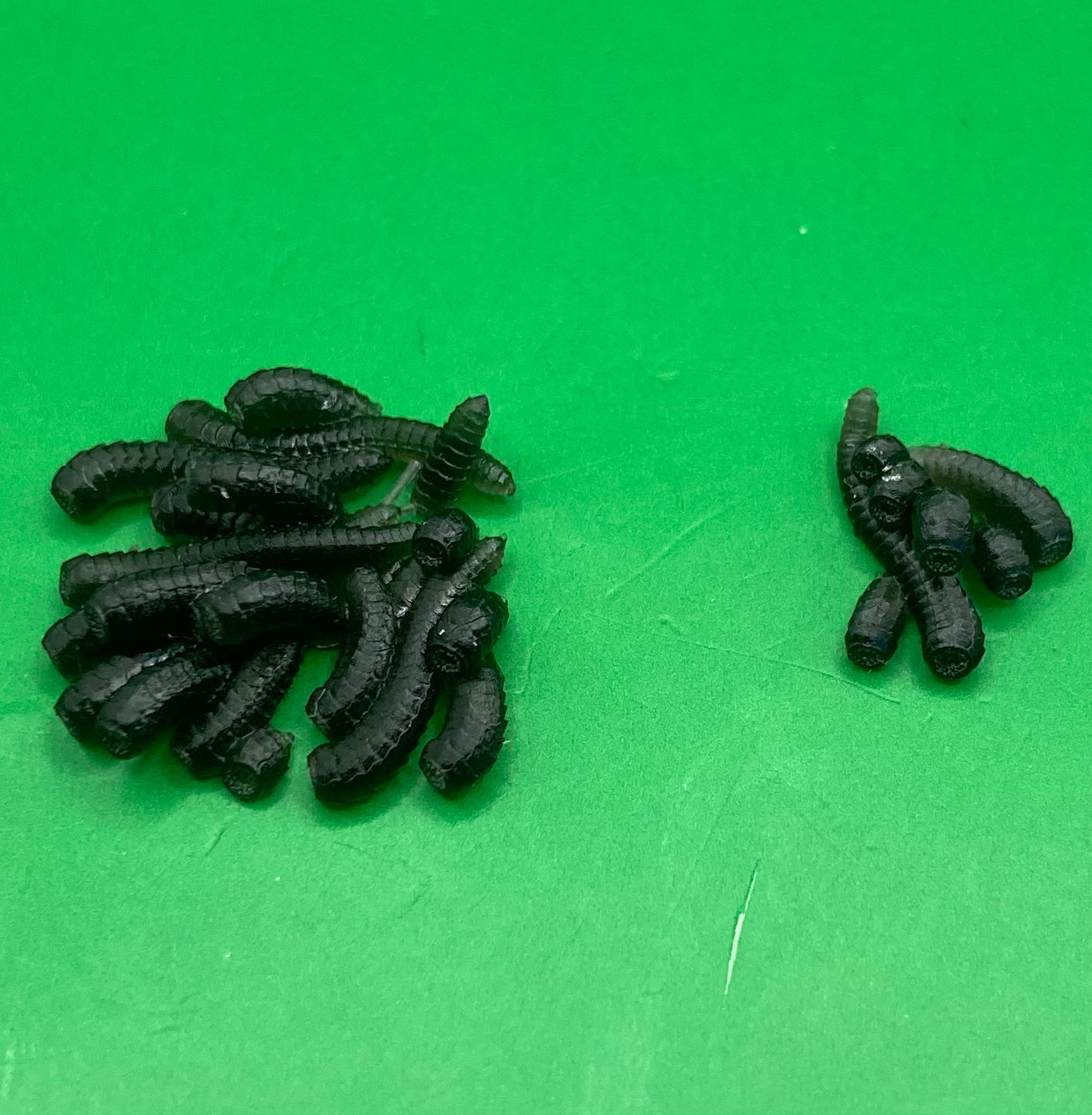 Worm Swarm (2 Variants Available) - Epic Miniatures