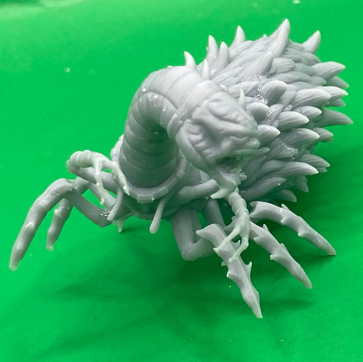 Neogi Traveller (3 Variants Available) - Epic Miniatures