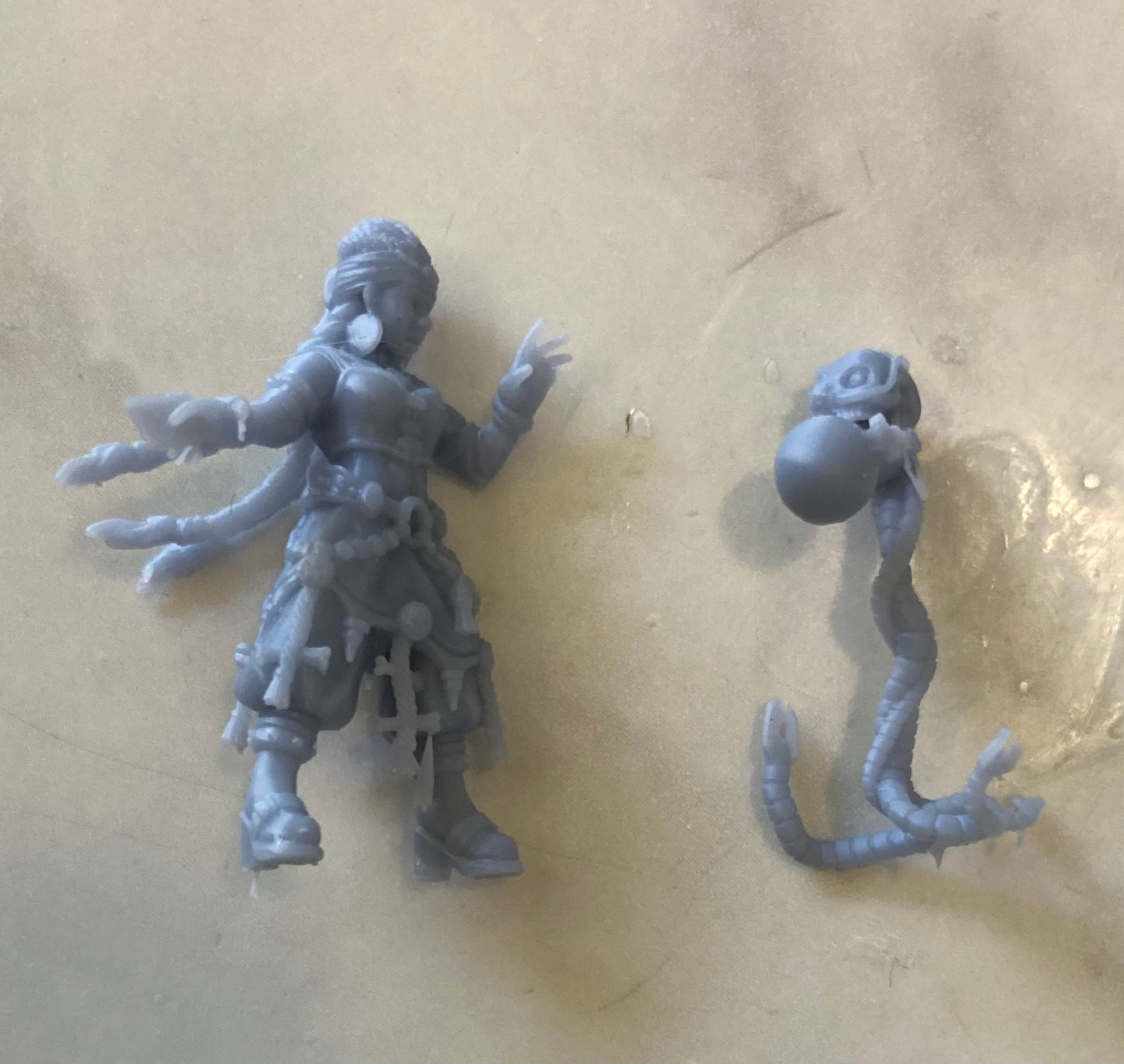 Nightshade Seer and Skull Companion - Print Minis