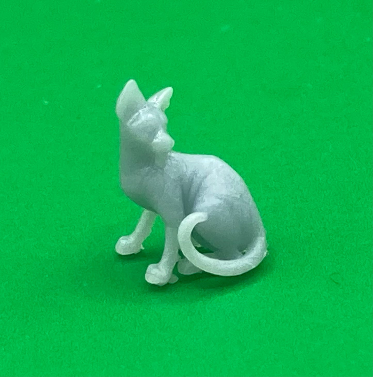 Ramos, Lion Druid and Cat Familiar - Dragon Trapper's Lodge