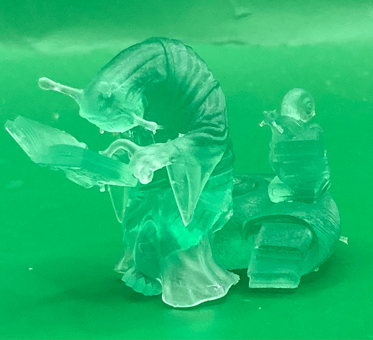 Snail Mage (3 Variants Available) - Epic Miniatures