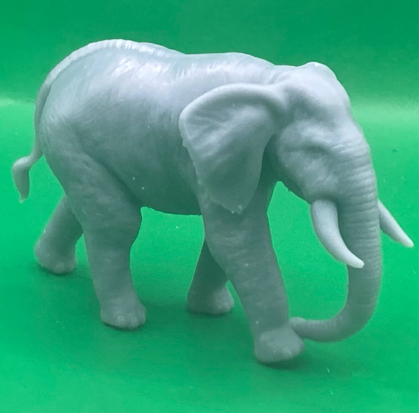 Elephants (2 Variants Available) - MZ4250