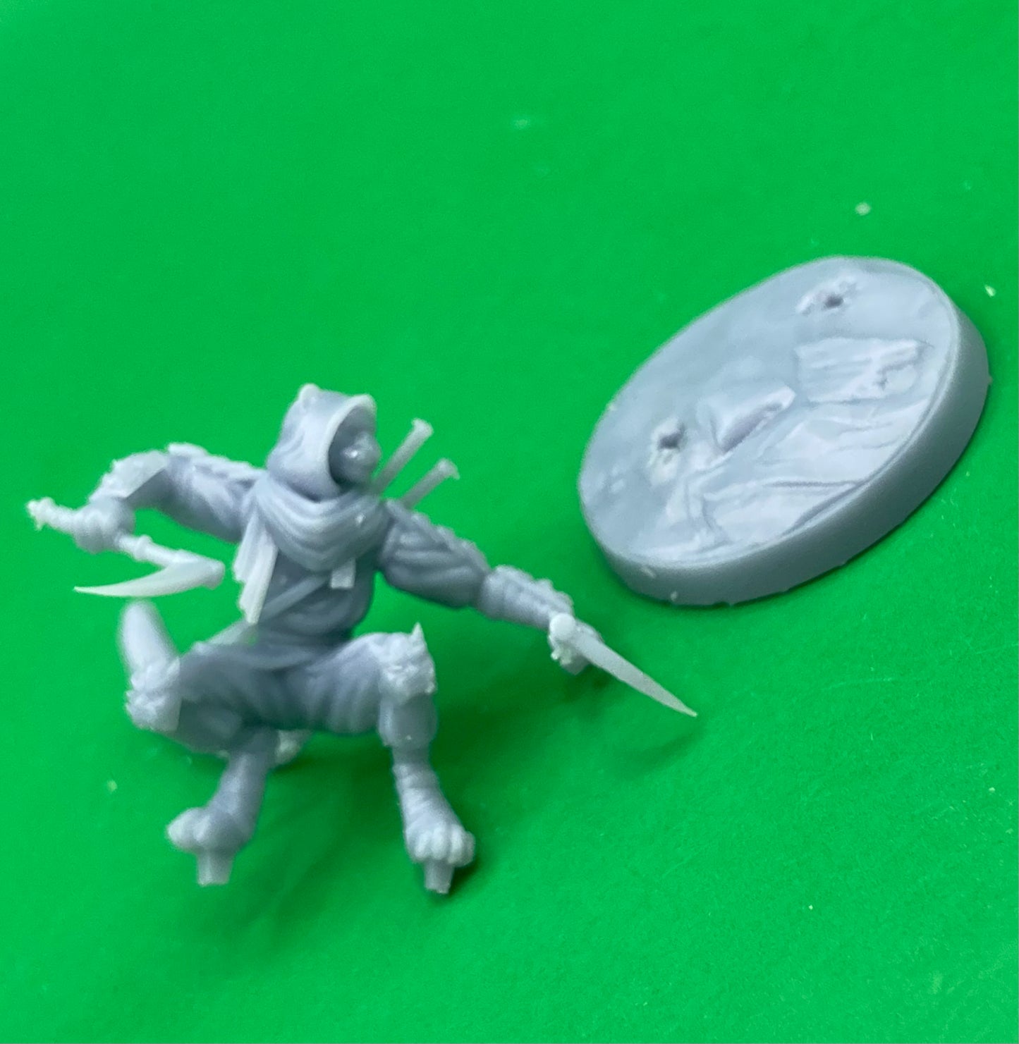 Adhira Felis, Ghost Ninja - Dragon Trapper's Lodge