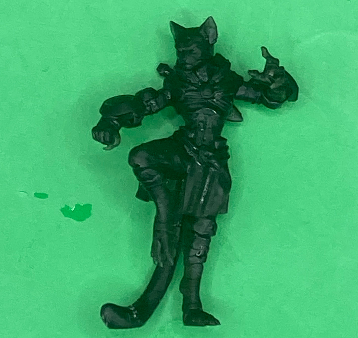 Tabaxi Monk (2 Variants) - Velrock