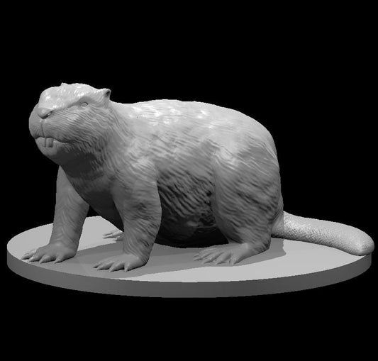 Giant Beaver (3 Variants Available) - MZ4250