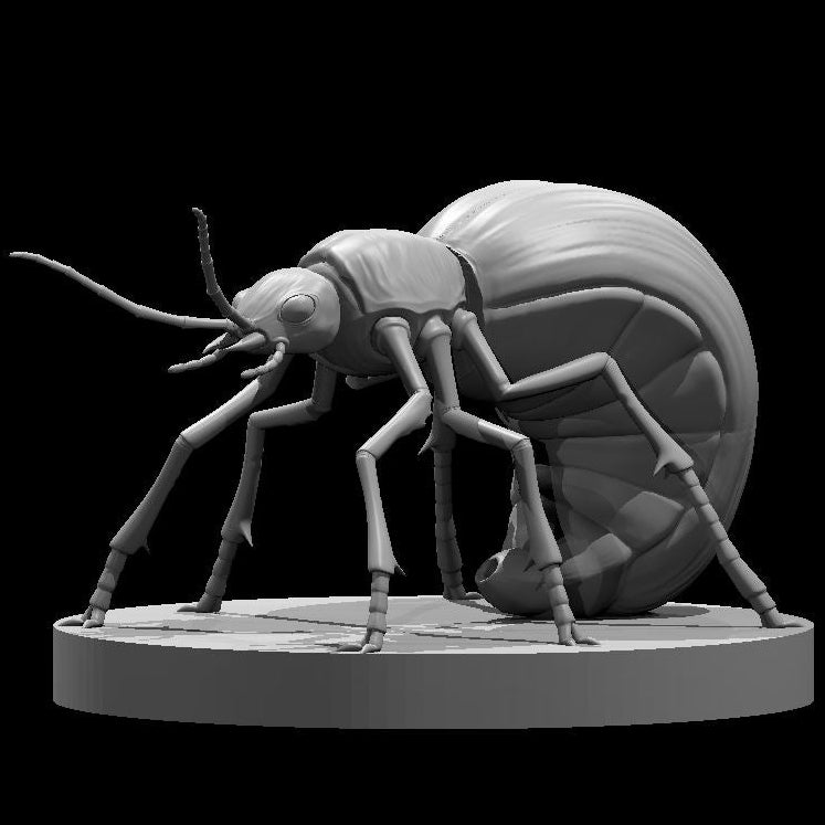 Giant Beetles (2 Variants Available) - MZ4250