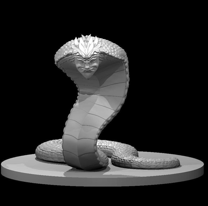 Naga (4 Variants Available) - MZ4250