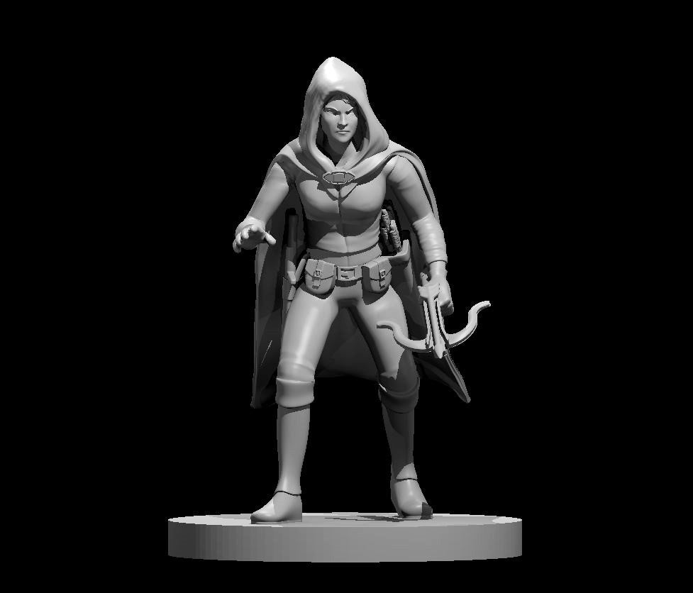 Elf Rogue (7 Variants Available) - MZ4250