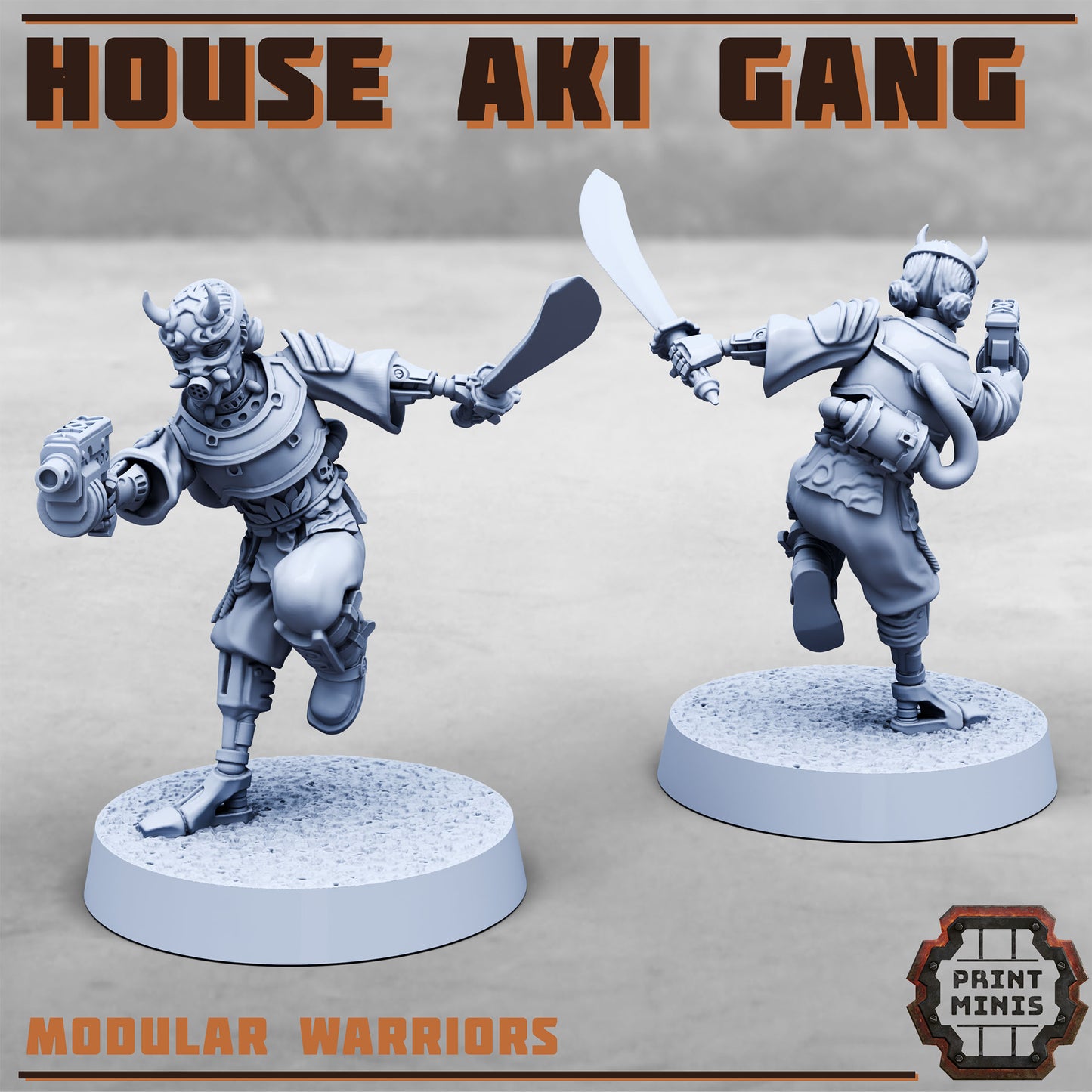 House Aki Gang, Eastern SciFi Warrior Women (10 Variants Available) - Print Minis