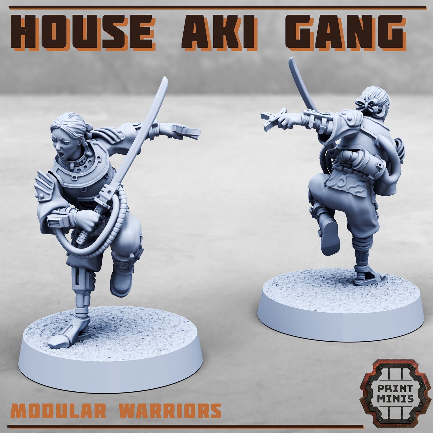 House Aki Gang, Eastern SciFi Warrior Women (10 Variants Available) - Print Minis