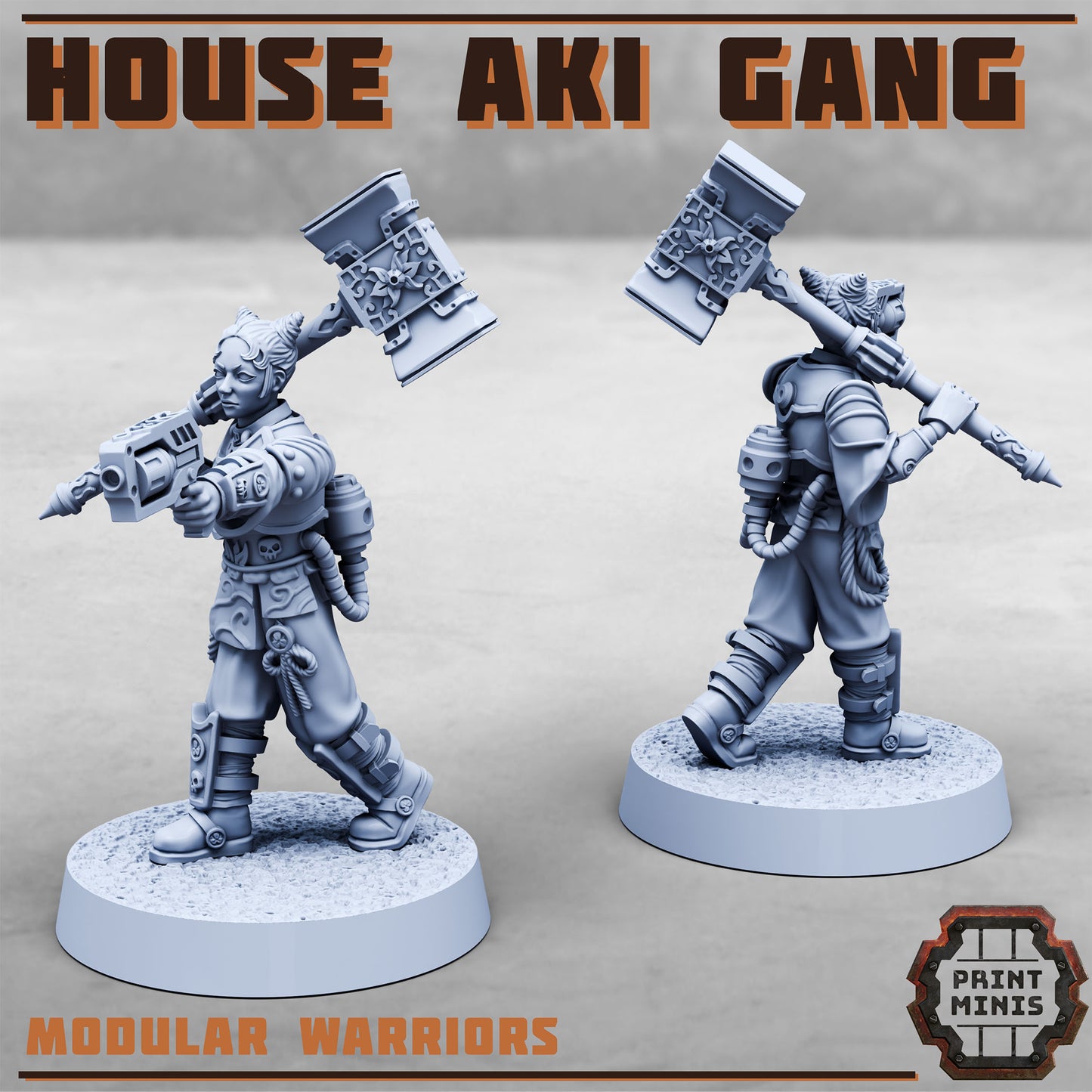 House Aki Gang, Eastern SciFi Warrior Women (10 Variants Available) - Print Minis