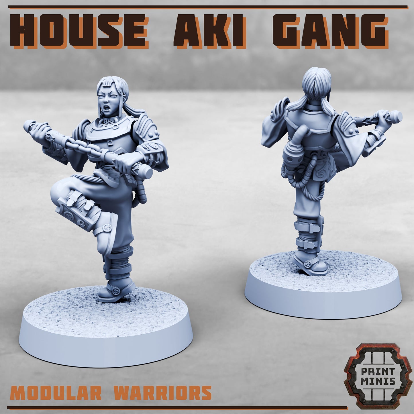 House Aki Gang, Eastern SciFi Warrior Women (10 Variants Available) - Print Minis