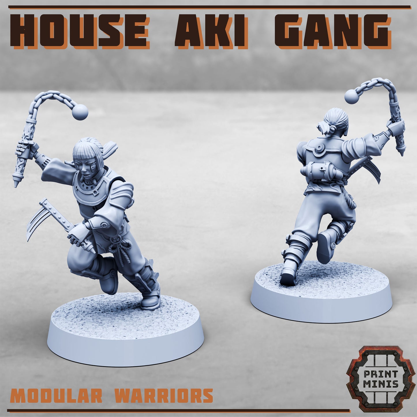 House Aki Gang, Eastern SciFi Warrior Women (10 Variants Available) - Print Minis