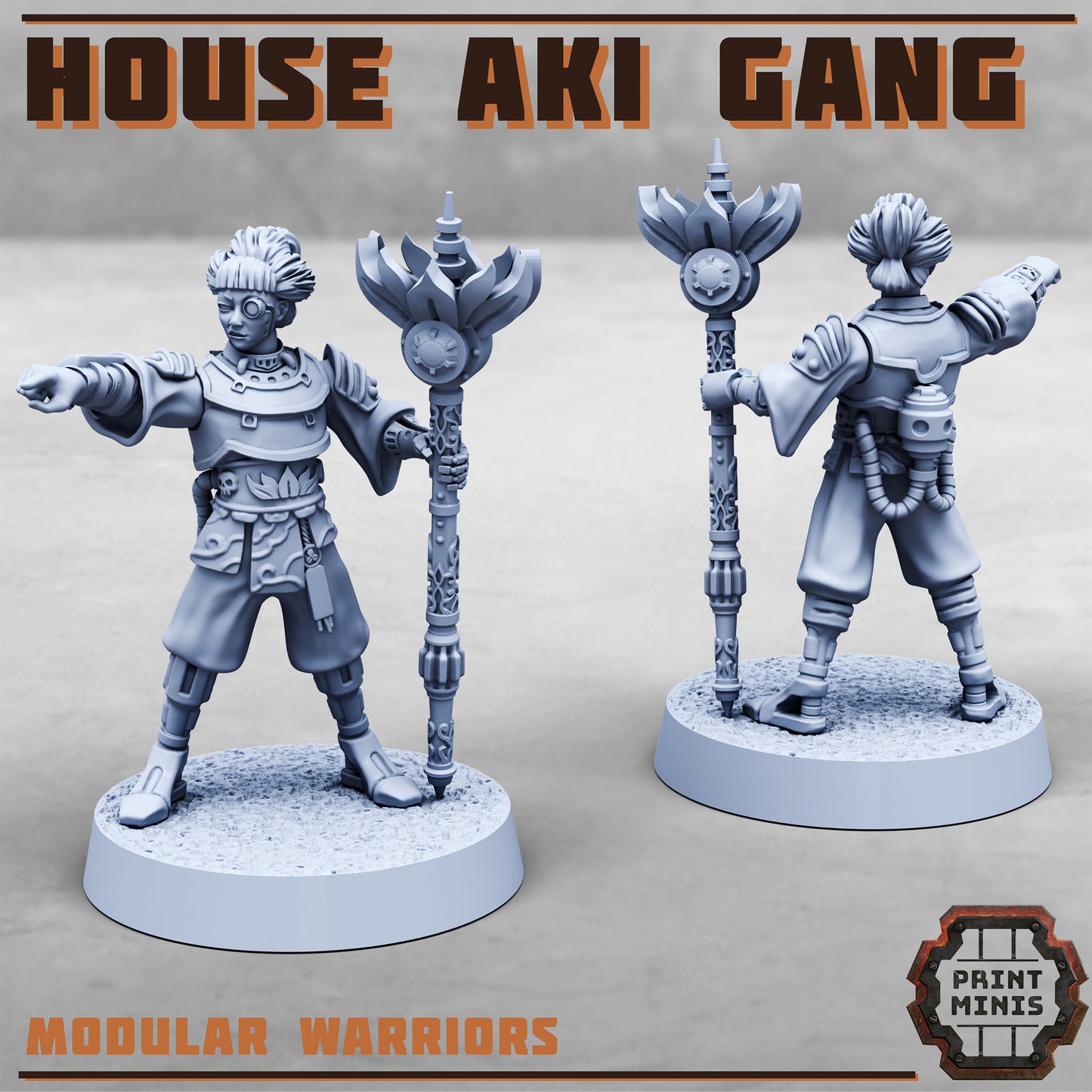 House Aki Gang, Eastern SciFi Warrior Women (10 Variants Available) - Print Minis