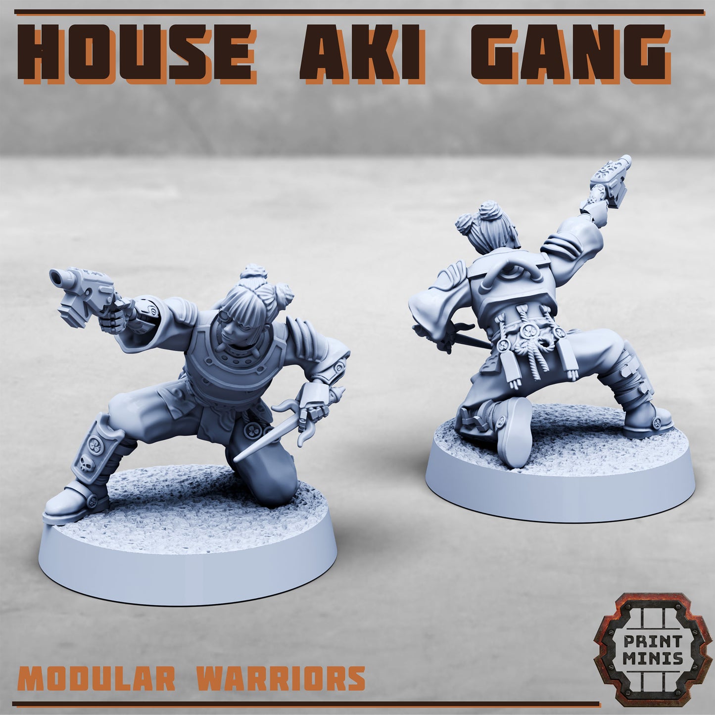 House Aki Gang, Eastern SciFi Warrior Women (10 Variants Available) - Print Minis