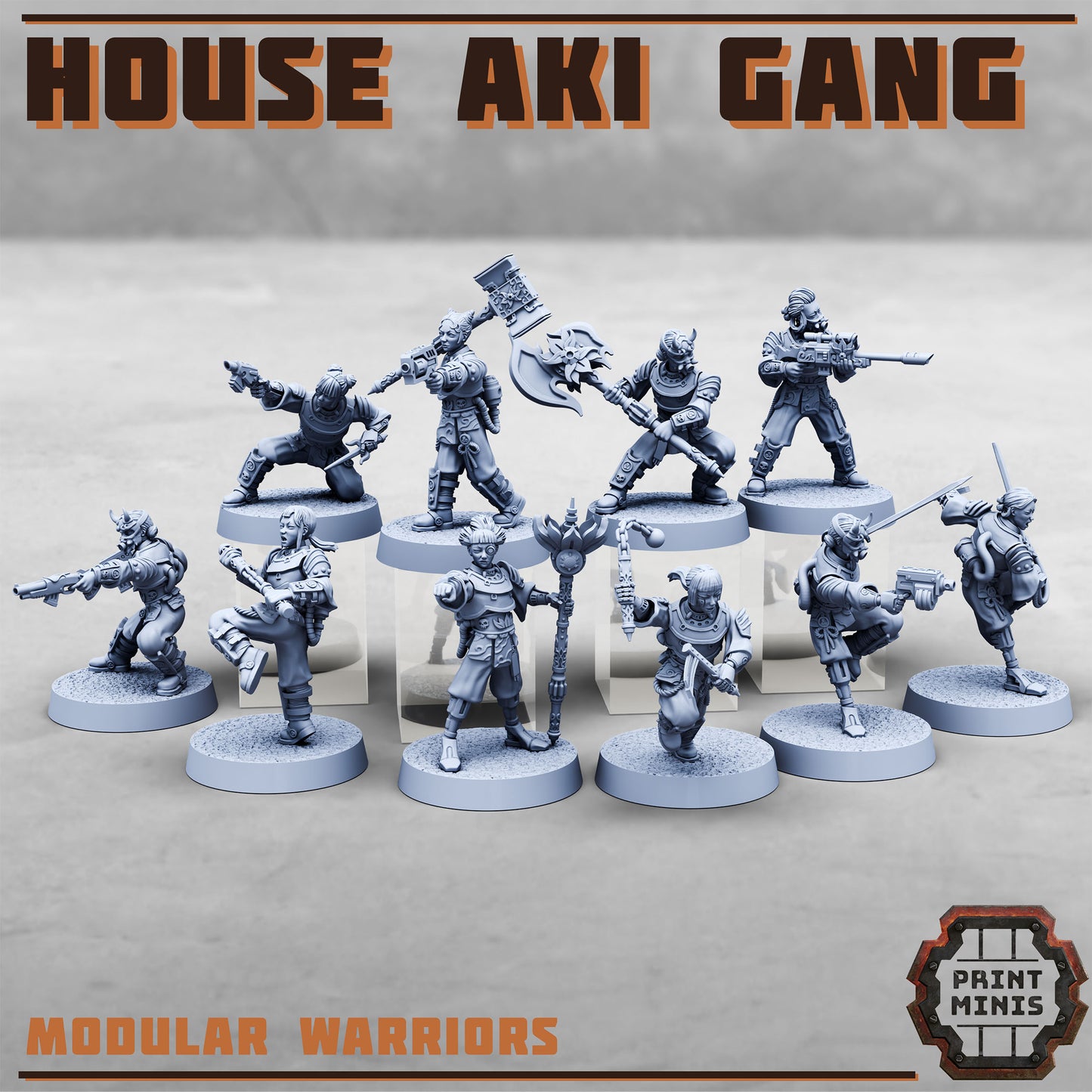House Aki Gang, Eastern SciFi Warrior Women (10 Variants Available) - Print Minis