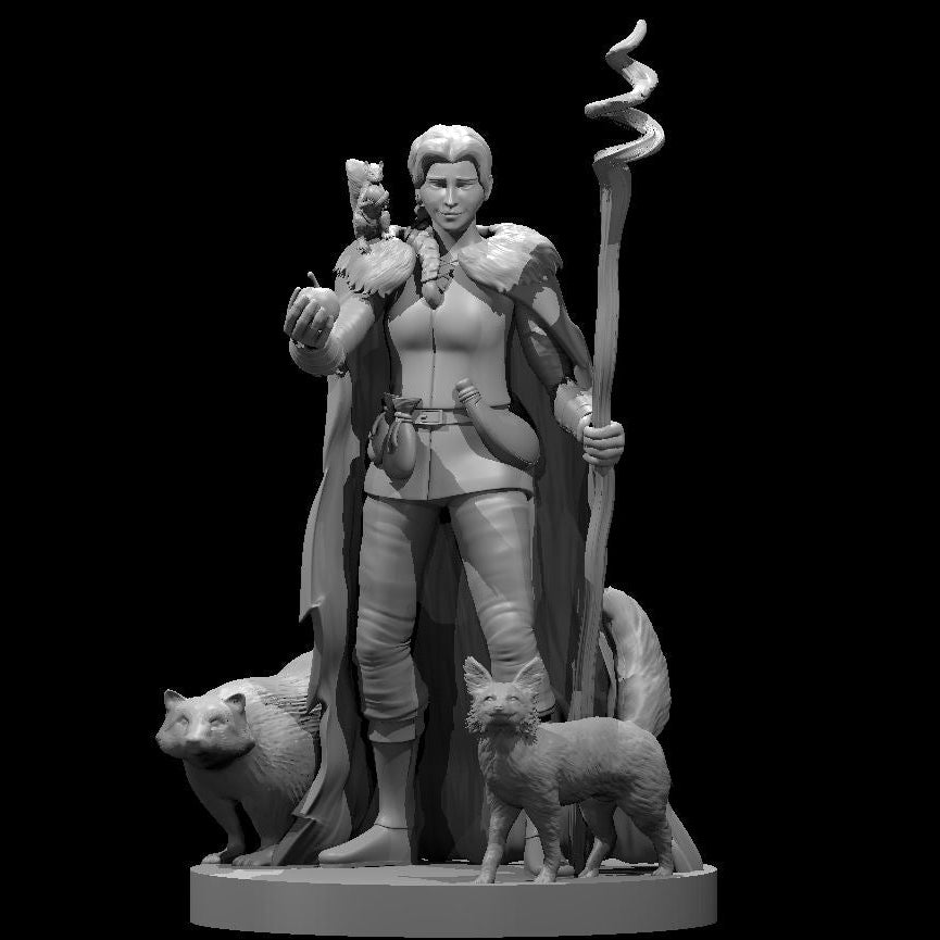 Human Druid, Set 2 (3 Variants Available)  - MZ4250