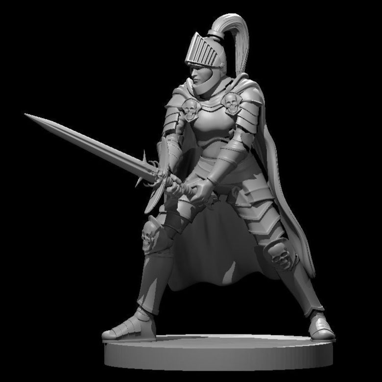 Human Paladin - Fallen (7 Variants Available) - MZ4250
