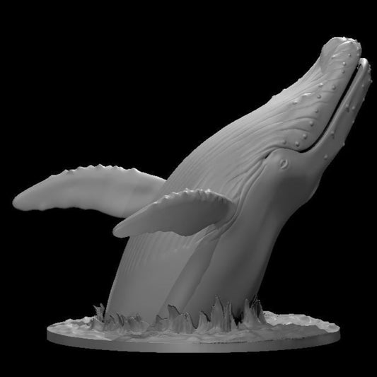 Whales (3 Variants Available) - MZ4250